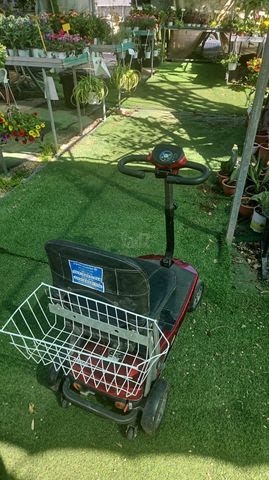 קלנועית