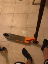 סקוט