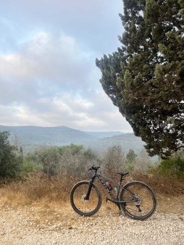 אופני Trek X-Caliber 8 M/L