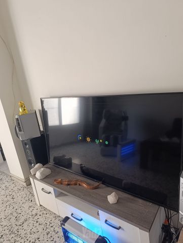 טלויזיה