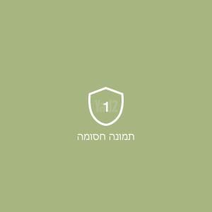 NINTENDO נינטנדו ds xl