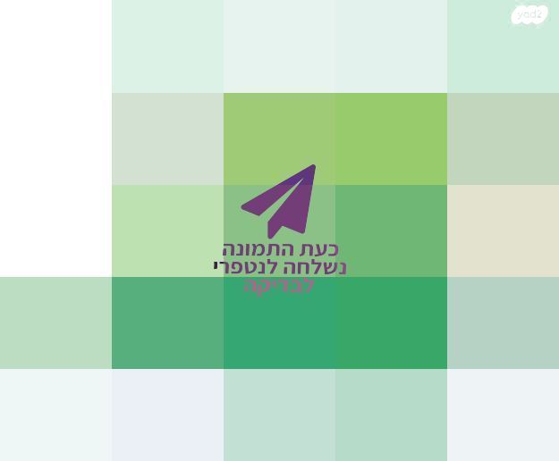 מתנפח
