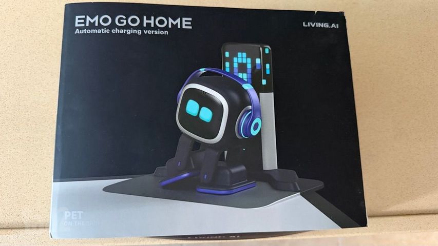 Robot Emo go home