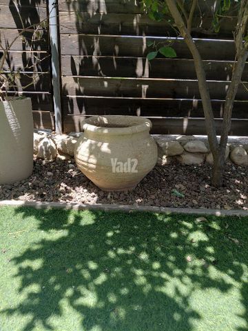 אדנית