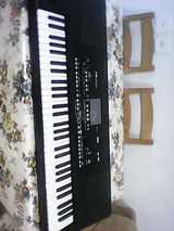 אורגן KORG PA300