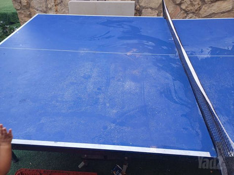שולחן פינג פונג