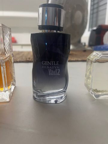 בושם gentle elsatys