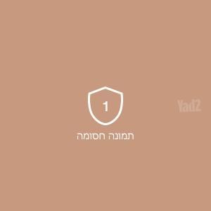 גלאי מתכות