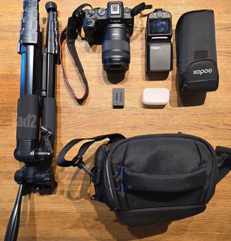 Canon EOS R8 + עדשה מקצועית