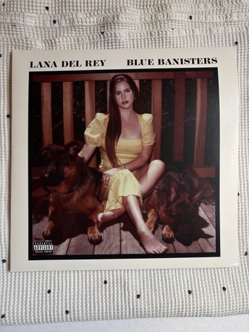 תקליט blue banisters