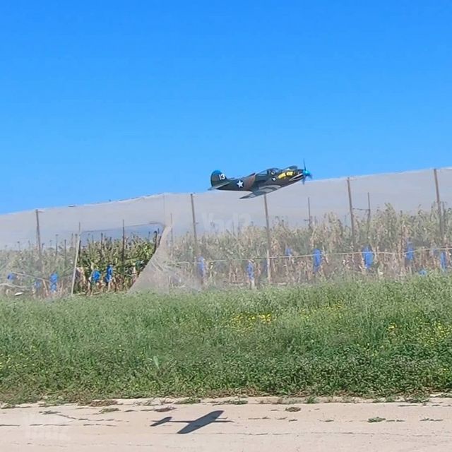 טיסן p-39 של eflite
