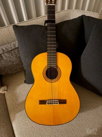 Yamaha c80