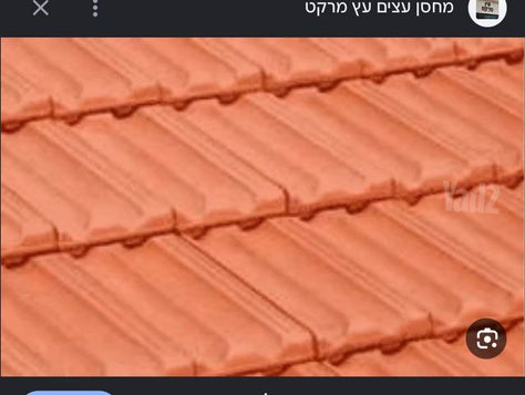 רעפים מחוסנים