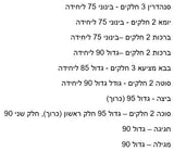 גמרא שוטנשטיין