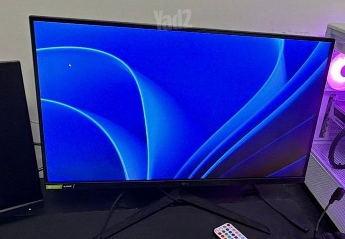 מסך LG OLED