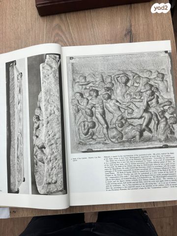 ספר אמנות של Michelangelo