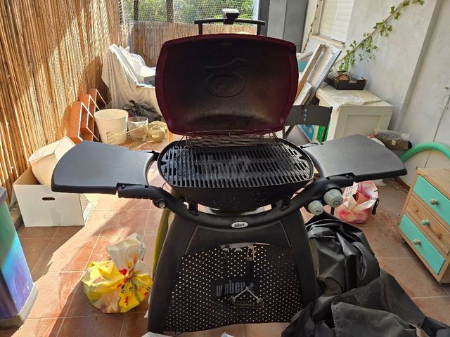 מנגל גז Weber Q3200IL