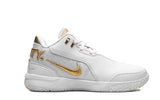 Nike LeBron NXXT Gen FJ1566103