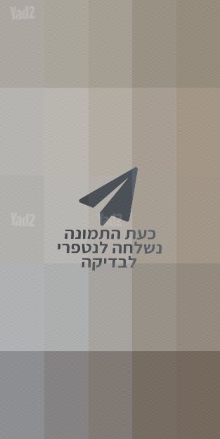 דלת כניסה PALRAZ