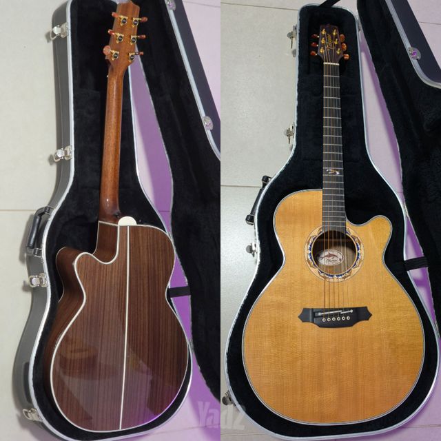 Takamine LTD-2001 Dolphins