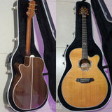 Takamine LTD-2001 Dolphins