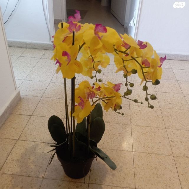 צמח פלסטיק