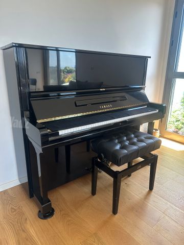 YAMAHA U3 ימאהה
