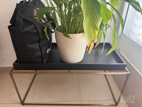 מזנון