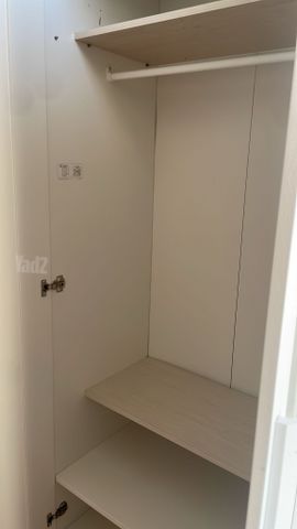 ארון מאיקאה