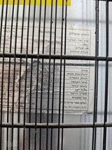 שני מקפיאים