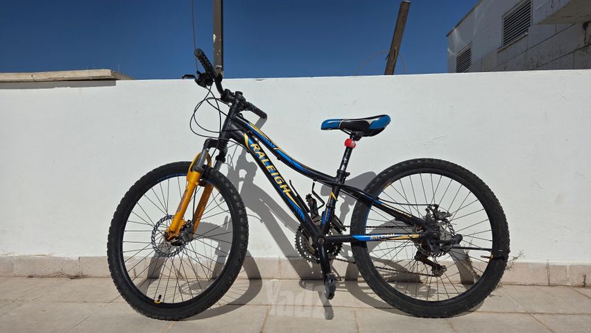 אופניים 24'