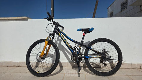 אופניים 24'