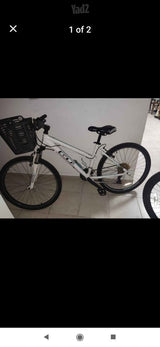 Gt26נשים
