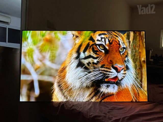 טלוויזיה LG OLED C8 55