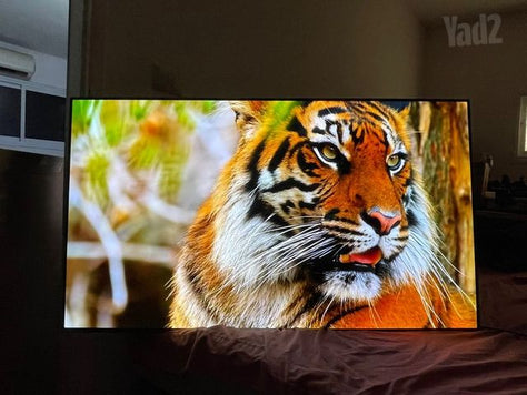 טלוויזיה LG OLED C8 55
