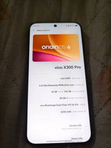 vivo x300 pro 512gb