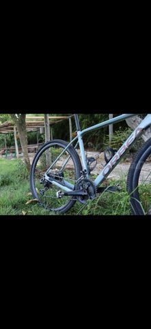 Orbea terra