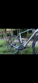 Orbea terra