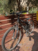 אופני הרים 24