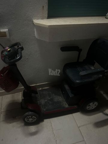 קלנועית