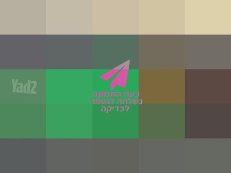כינור מציון!
