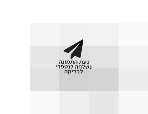 מיטת תינוק דגם ריי+מזרן SEGAL