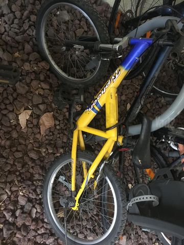 אופניים