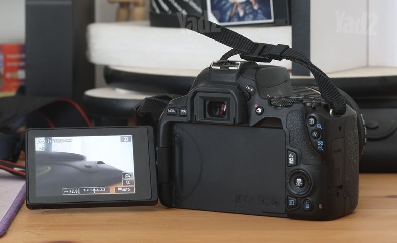Canon 250D + Tamron 17-50 f2.8
