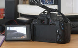 Canon 250D + Tamron 17-50 f2.8