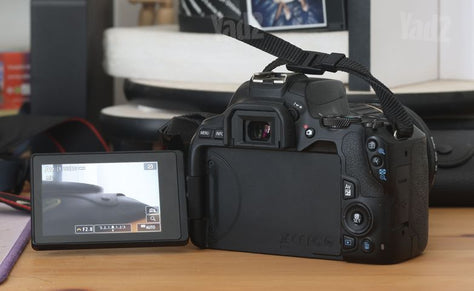 Canon 250D + Tamron 17-50 f2.8