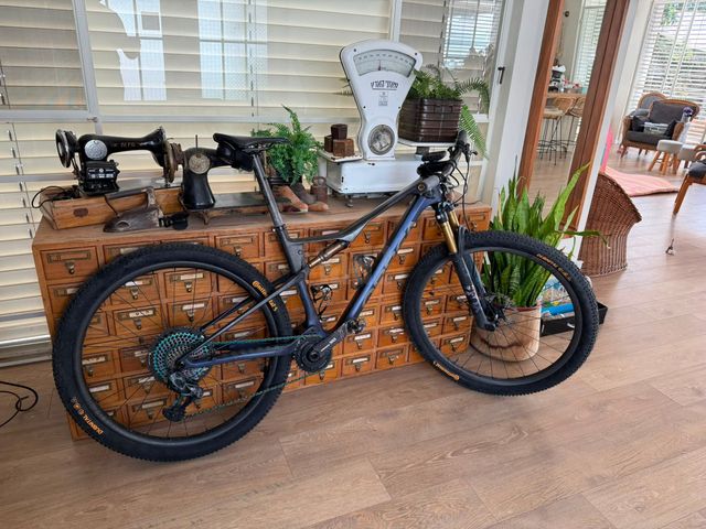 Orbea Oiz LTD L