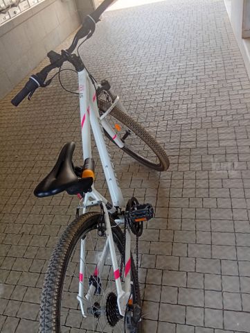 אופניים ST 100 sport trail