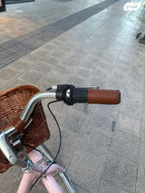 אופני עיר