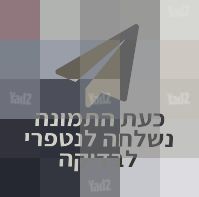 גגונים לבוגבו בי 5 6 קמליון
